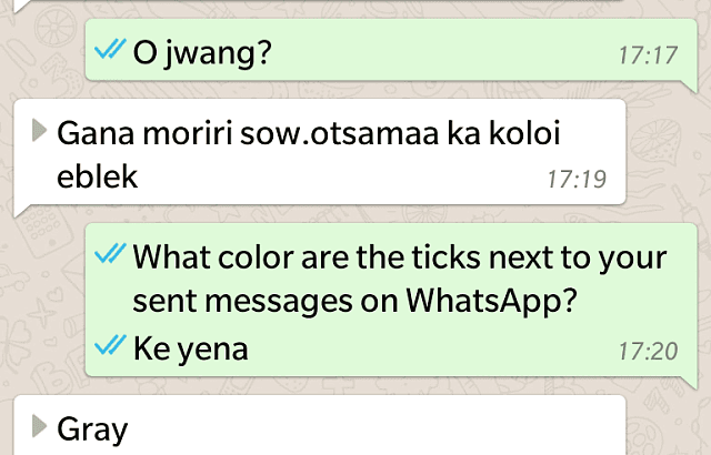Cara Agar Bisa Baca Pesan di WhatsApp Tanpa Ketahuan